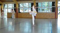 41 Sommerlager Finsterau Shorin Ryu Karate Straubing Regensburg Regenstauf 5