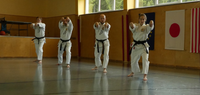 2 Meisterkurs Karate Finterau 10