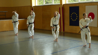 2 Meisterkurs Karate Finterau 4